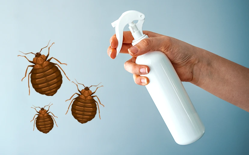 Does Alcohol Kill Bed Bugs 