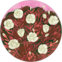 Evany Douglas profile picture