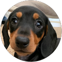 ed colvin profile picture